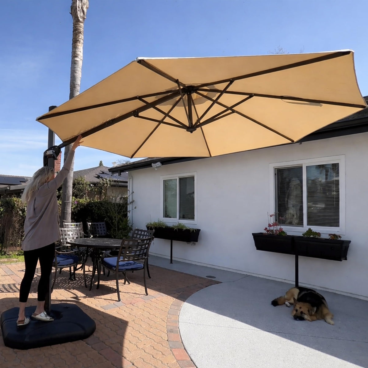 PURPLE LEAF Patio Umbrella with Base 9' x 11.5' 360° Rotation Control Beige
